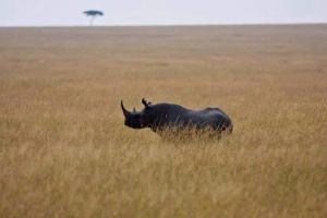 FB IMG 1513162517468